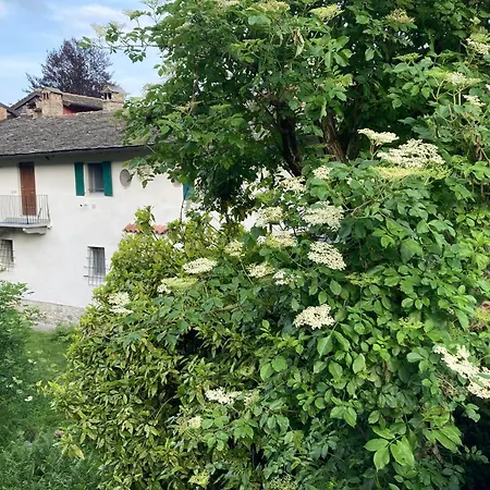 Apartman Lacalma - Casadelresto